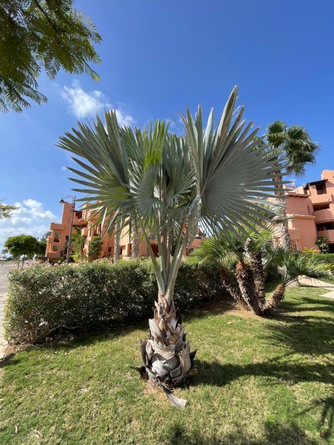 Апартаменти Spirit Of Mar Menor Торре-Пачеко Екстер'єр фото